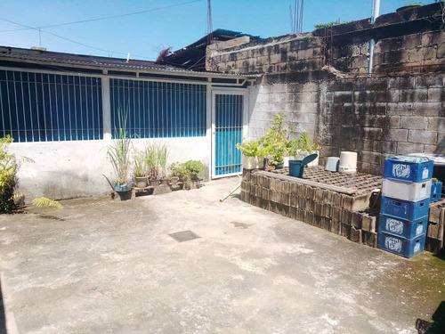 Imagen 8 de 9 de Palo Negro / Lisbeth García +584128676402