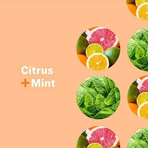 Jabon 3 En 1 Para Todo El Mundo, Citrus Plus Mint, 32 Oz, 2