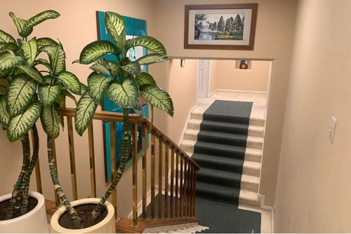 Imagen 8 de 17 de Casa En Arriendo En Bogotá Santa Bárbara Alta. Cod 119013704