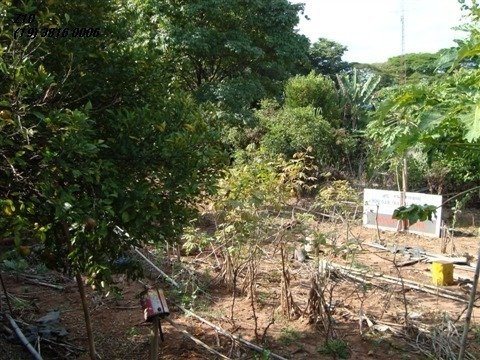 Imagem 3 de 3 de Terreno - Te1274 - 1783036