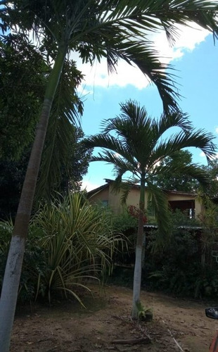 Imagem 1 de 20 de Casa Em Borralho, Camaragibe/pe De 100m² 3 Quartos À Venda Por R$ 360.000,00 - Ca1041562