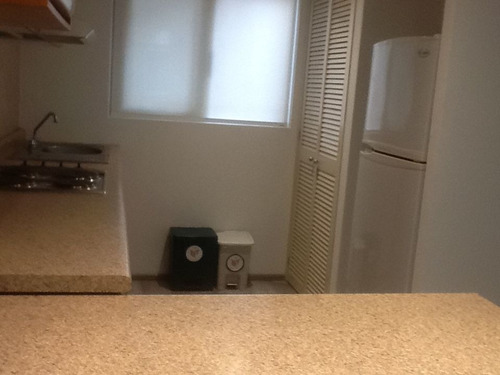 Imagen 12 de 26 de Departamento En Renta En Julio Verne Polanco