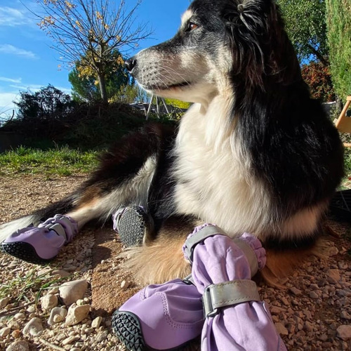 Spark Paws Botas Para Perros Resistentes Al Agua Flex Shell