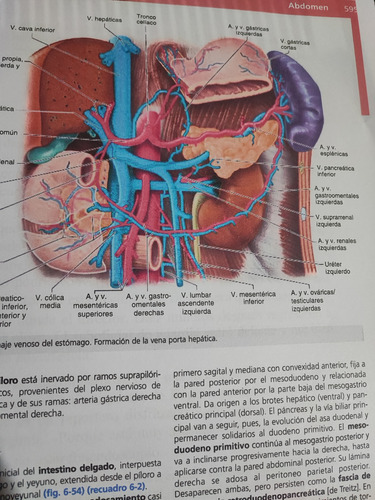 Anatomía Clínica Pró 2da Ed Full Color A4
