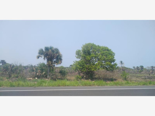 Imagen 1 de 4 de Terreno Comercial En Venta Salinas Alvarado