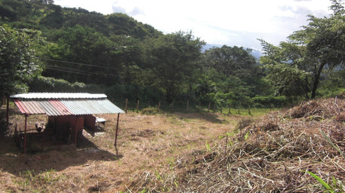 Imagen 16 de 30 de Cerca Del Cc Daymar Guatire 04143184932
