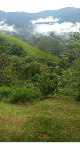 Belíssima Propriedade Em Visconde De Mauá