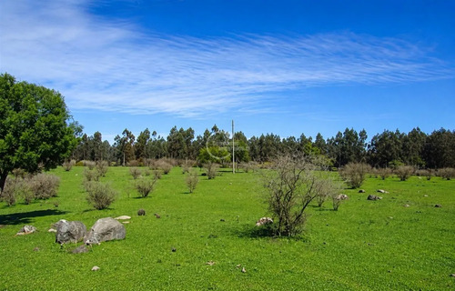 Parcela En Venta En Bulnes