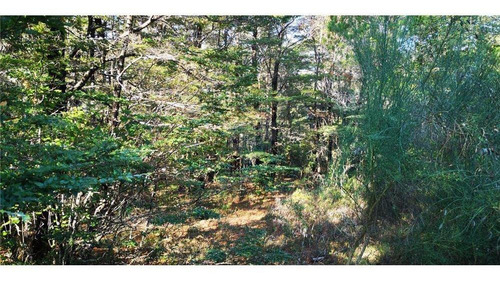 Pucon Parcela En Sector Cerduo - Oportunidad