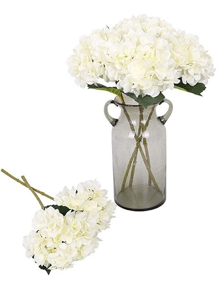 Hortensias Blancas | MercadoLibre ?