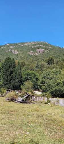 Campo Sector Huerquehue, Termas Rio Blanco