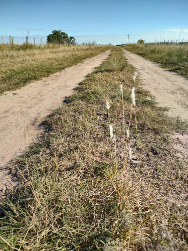 Hectareas En Venta En Oliden