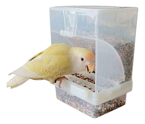 Comedero Automático Para Pájaros, Dispensador De Comida De P