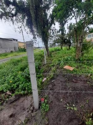 Imagem 5 de 6 de Terreno Escriturado Em Itanhaém - 9618 R