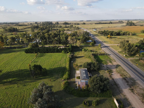 Tierra Para Desarrollo En Venta Sobre Ruta 3 Km 186, Las Flores