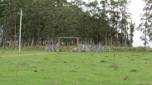 Chacra De 5has Cno. Del Anastasio - Altos De José Ignacio