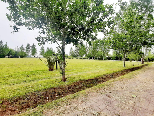 Imagen 4 de 7 de Venta Terreno En Lomas De Petion Cañuelas