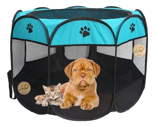 Corral Tienda Mascotas Bulldog Frances Frenchie 