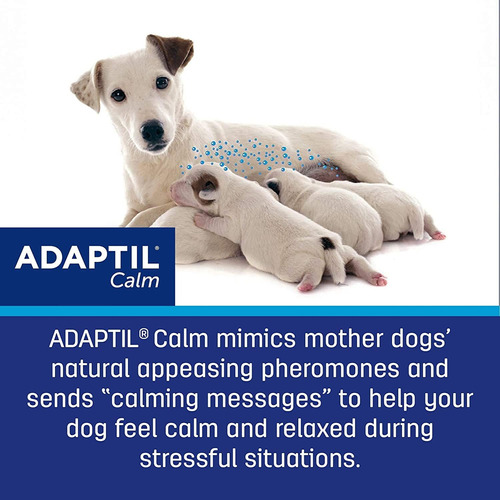 Adaptil Calming Collar For Dogs | A Constant Calm Anywhere Y