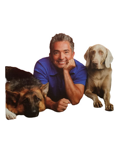 El Encantador De Perros Cesar Millan Aguilar Programa Tv