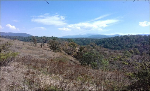 Terreno En Venta En Temascaltepec.
