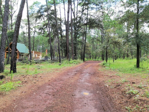Imagen 12 de 12 de Terreno Huasca De Ocampo 2500 M2 Junto A Cabañas Pinochueco
