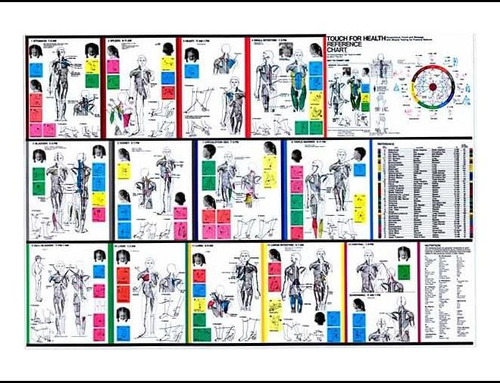 Libro: Tabla De Referencia De Touch For Health