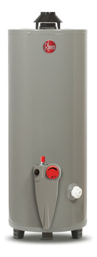 Calentador De Agua De Depósito Rheem 76 Litros A Gas Natural 2 Servicios  29V20S-28/435145 gris