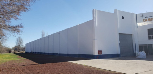 Imagen 4 de 10 de Alquilo Galpón 2000 M2 70 M2 Ofi Y Predio 1 Has Cipolletti