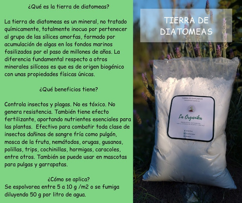 Imagen 2 de 3 de Tierra De Diatomeas 500 G