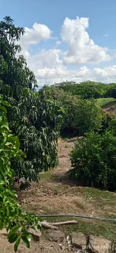 Casa Lote Tocaima Excelente Oportunidad