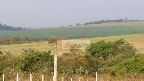 Imagem 4 de 5 de Chácara Residencial À Venda, Condomínio Veredas Do Rio Pardo, Serra Azul. - Ch0040