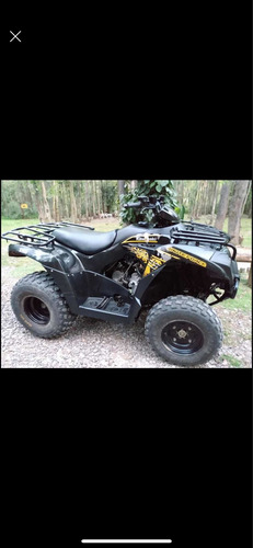 Imagen 5 de 12 de Kawasaki Brute Force 300