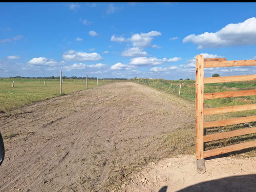 Lotes En San Vicente