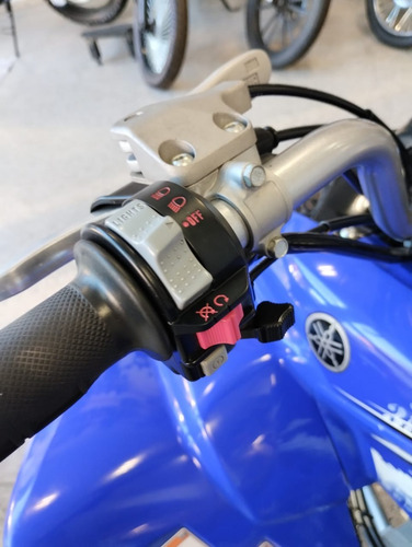 Imagen 3 de 10 de Yamaha Yfm 350r