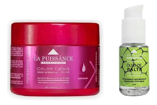Máscara Color Fixing 250 Ml +oleo Palta La Puissance