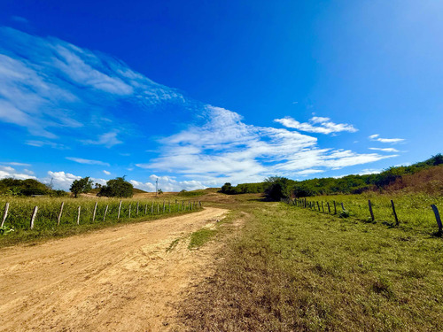 Finca Totalmente Productiva