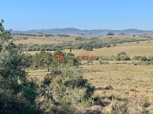 Chacra En Venta En Aigua- Ref: 1493