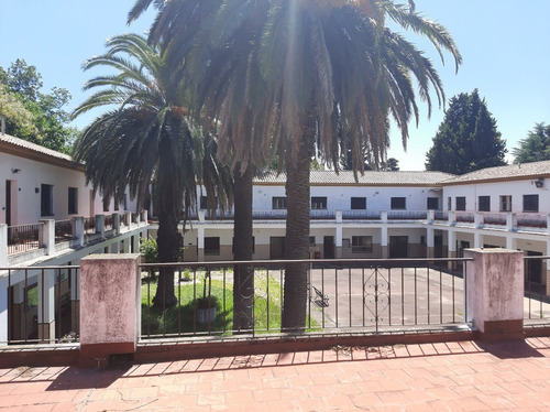 Imagen 4 de 22 de Excelente Edificio, Ideal Colegio, Universidad O Similar. Excelente Ubicacion Centrica Dentro Del Radio Urbano De Bella Vista, Con Buen Acceso Con Todos Los Medios De Transporte