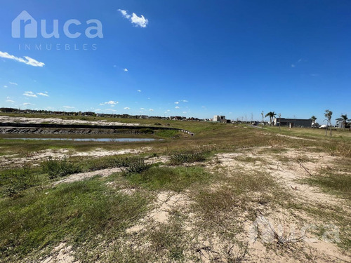 Imagen 5 de 30 de Venta | Oportunidad Vista Directa Al Agua A Precio De Lote Interno | Naudir Delta