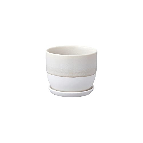 Maceta Plantas Kinto 29222, Beige, 4.3 Pulgadas (110 Mm...