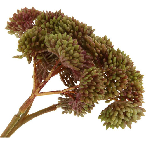 Planta Real Táctil