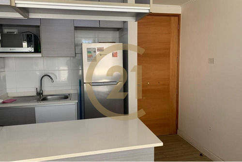 Venta Departamento Sector Playa Brava