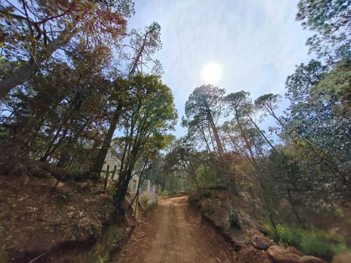 Terreno En Venta De 37,314 M2 En Huasca De Ocampo, Hidalgo