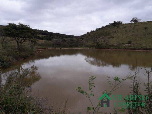 Imagem 15 de 15 de Fazenda Para Gado E Cultura Em Baldim - 2751