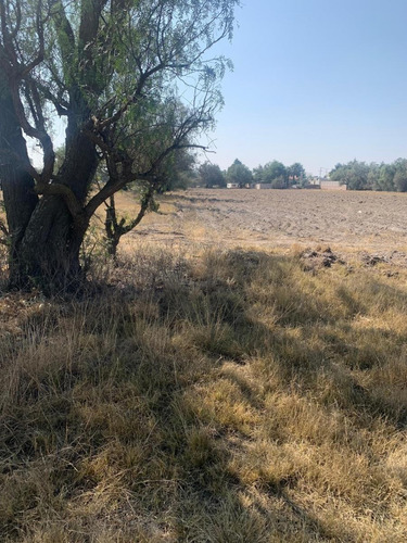 Terreno En Venta En Nextlalpan Estado De México Cerca Dé Zumpango