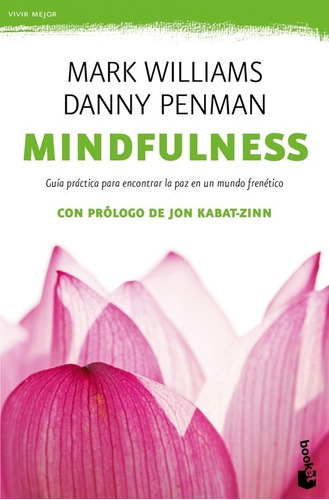 Mindfulness Guia Practica
