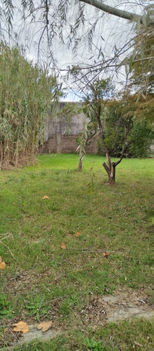 Casa En Venta En Delta Del Tigre Ciudad Del Plata