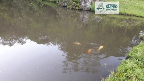 Sítio A Venda No Bairro Centro Em Arroio Do Padre - Rs. - 1604-1
