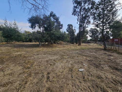 Vendo Sitio De 5580 M2 En Queronque Los Laureles Limache.